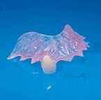 OMG!!! 4 Days and the worst has happened....