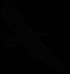 I only have 2 more nights with FH...