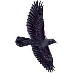 I only have 2 more nights with FH...