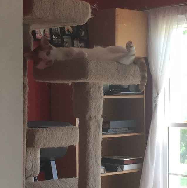 Something old, something new...