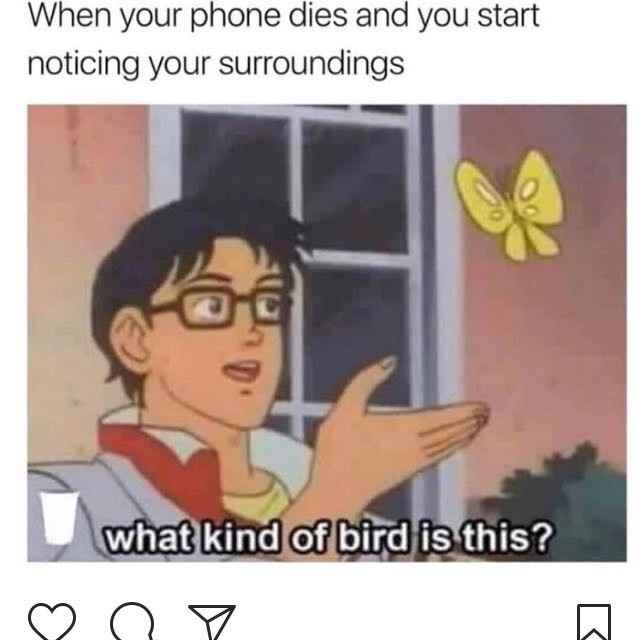 NWR - What's the last meme you saved?