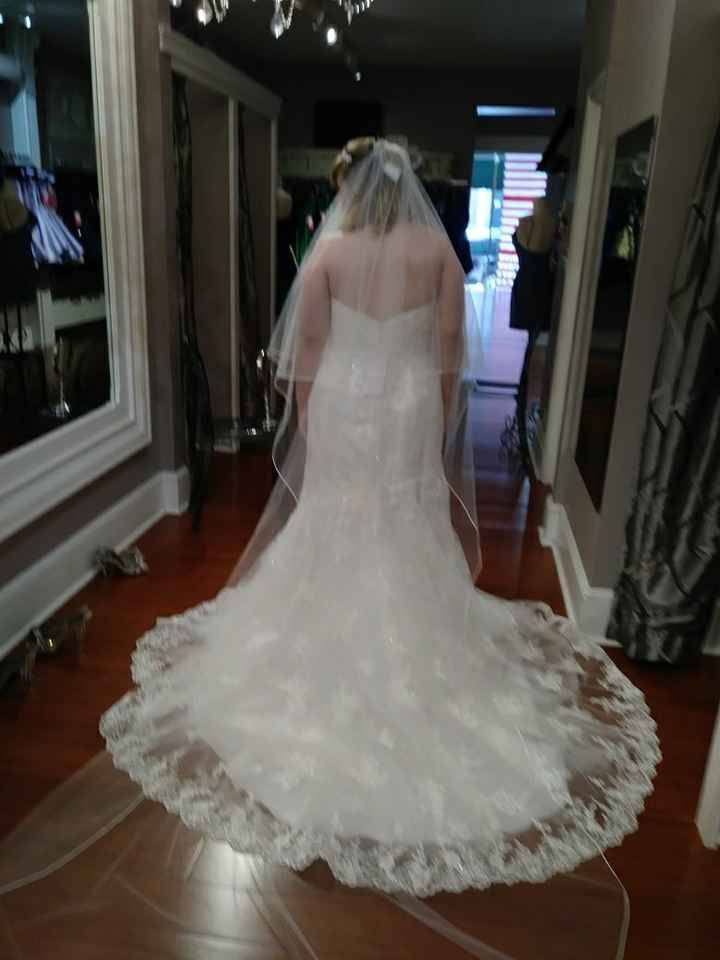 Picked up my wedding dress today!! - 2