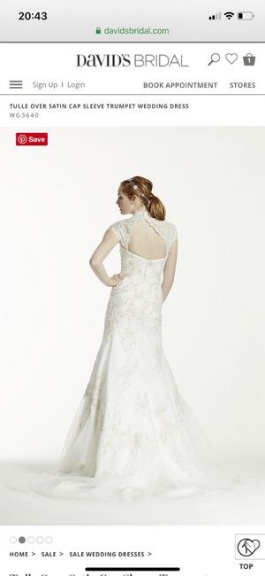 Queen Anne neckline... 6