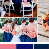 We chose our wedding colors!
