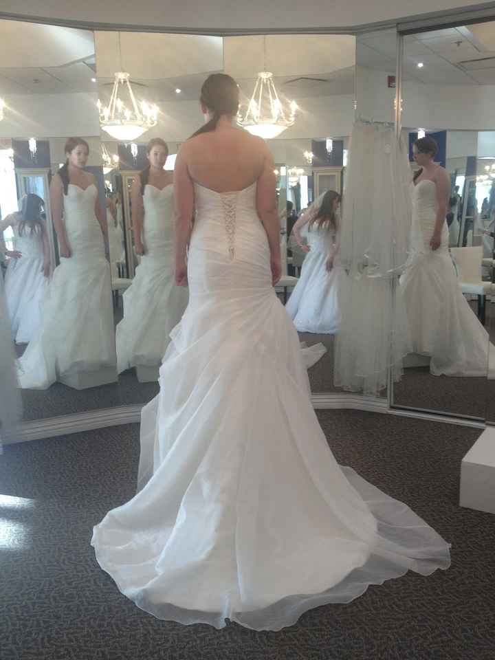 Let me see your bustle ....please lol