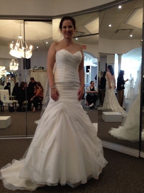Ding Ding Ding! I Found My Dress! (pics)