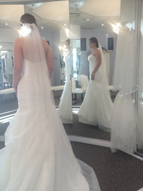 Eeeep! My dress is in!
