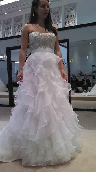 HELP! What kind of veil with my dress.. *pics*