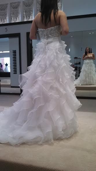 HELP! What kind of veil with my dress.. *pics*