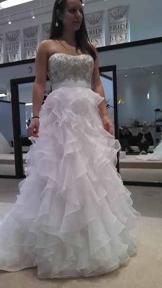 HELP! What kind of veil with my dress.. *pics*
