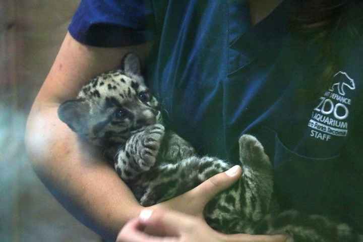 Total bridal meltdown!!