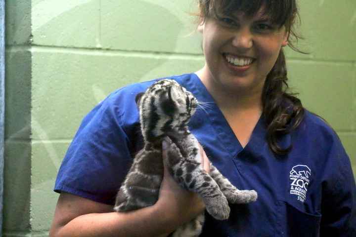 Total bridal meltdown!!