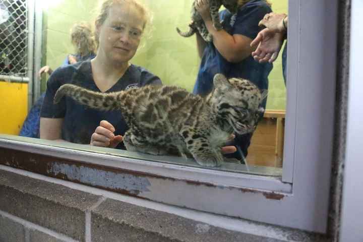 Total bridal meltdown!!