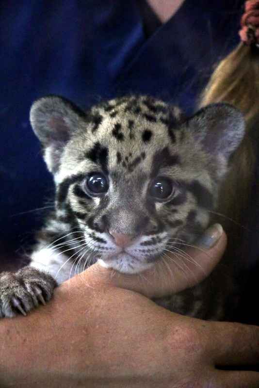 Total bridal meltdown!!