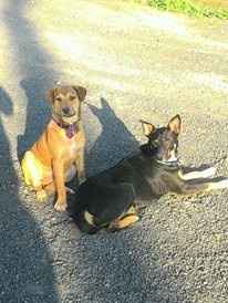 Camping for Honeymoon. Suggestions?