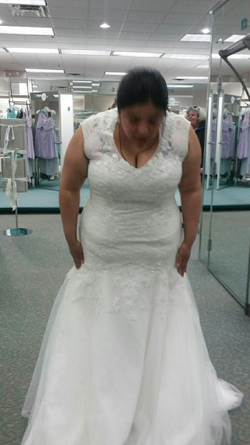 Plus size dress