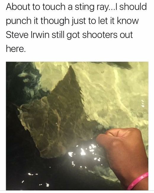 NWR: Got memes?