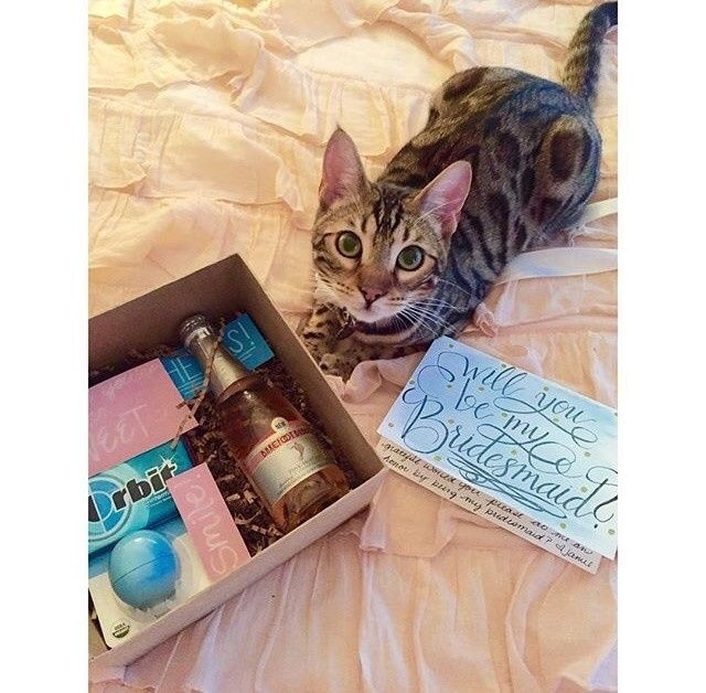 DIY Bridesmaids' Boxes Done!