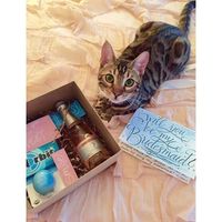 DIY Bridesmaids' Boxes Done!