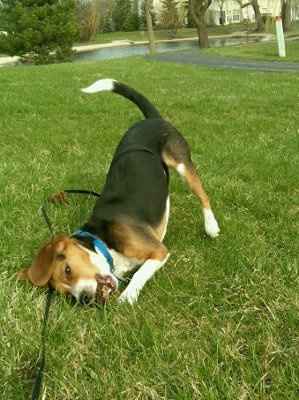 NWR: Not that we've flaunted our sexy men...