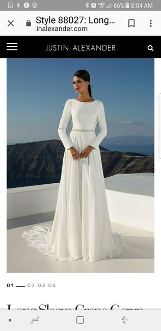 Limited Selection at Bridal Salons? - 1