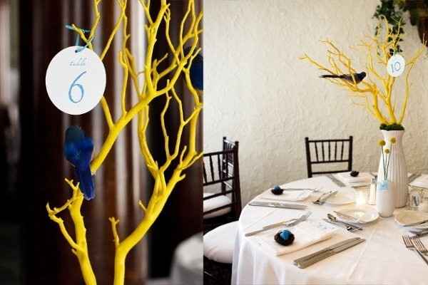 Birds Cages & Bird Houses.. Use both??