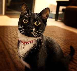 Ladies, Need a laugh today! Did your engagament go....not so smooth?