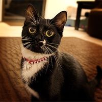 Ladies, Need a laugh today! Did your engagament go....not so smooth?