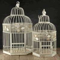 Show Me Your Lantern Centerpieces!