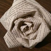 Crafty a/f