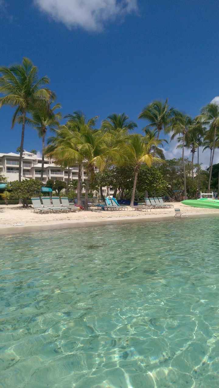 Our Honeymoon in St. Thomas *PICS*