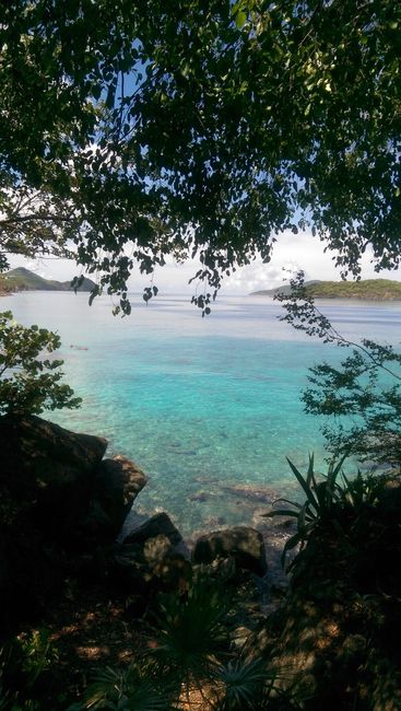 Our Honeymoon in St. Thomas *PICS*