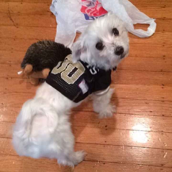 Cutest Thing You'll See All Day