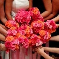 IDK anything about flowers