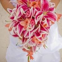 IDK anything about flowers