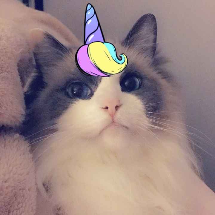 Reply with pictures!!! - 3