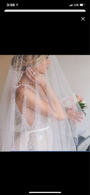 What does your veil look like 4