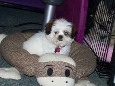 Let's get to know each other ladies!