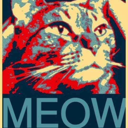 NWR: If you had to vote today, who would you vote for?