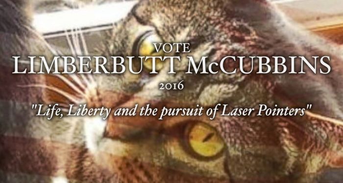 NWR: If you had to vote today, who would you vote for?