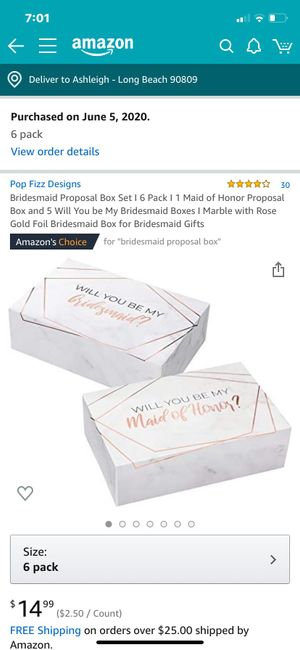 Brideamaid Proposals 6