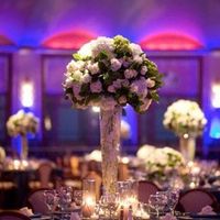 My centerpieces....need ideas.