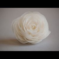 Where did you get your jewelry/accessories?