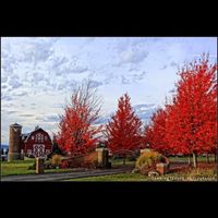 Let's see the wedding venues!