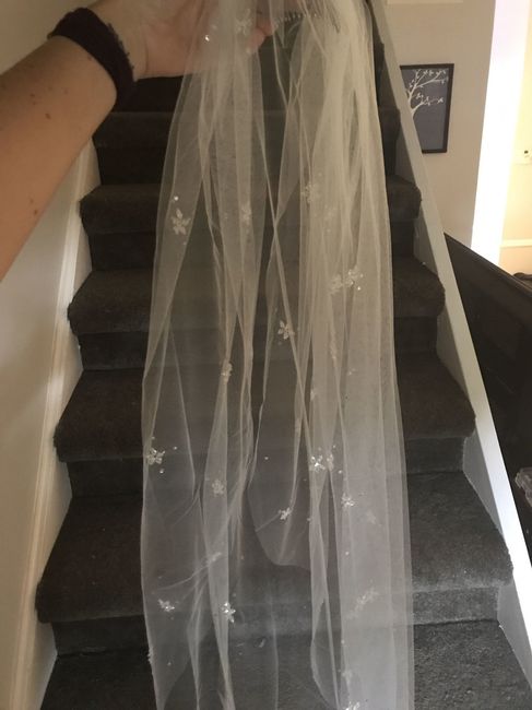 Any brides NOT wearing a cathedral veil?