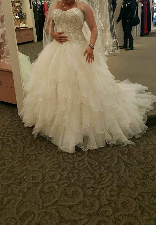 Adding sleeves to your dress at Davids Bridal