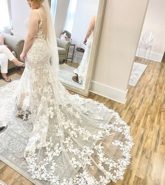 What Type of Veil/hairstyle would you choose? 1