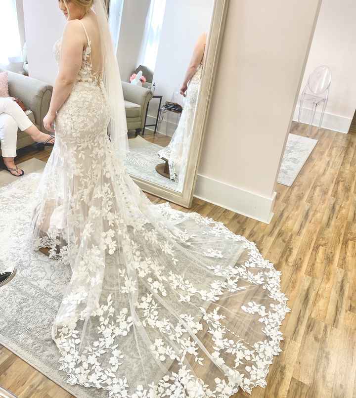 What Type of Veil/hairstyle would you choose? - 1