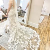 What Type of Veil/hairstyle would you choose? - 1