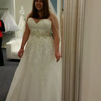 Plus Size Brides , share your dress !